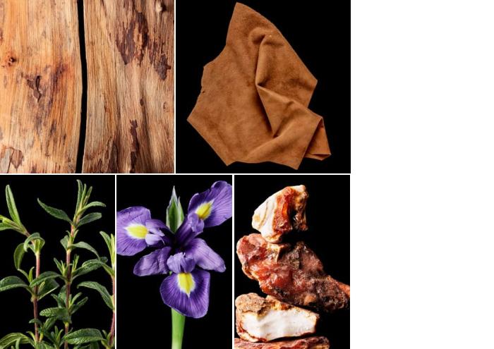 Luvas de perfume: Sândalo, Camurça, Ciste Labdanum, Íris, Benjoim.