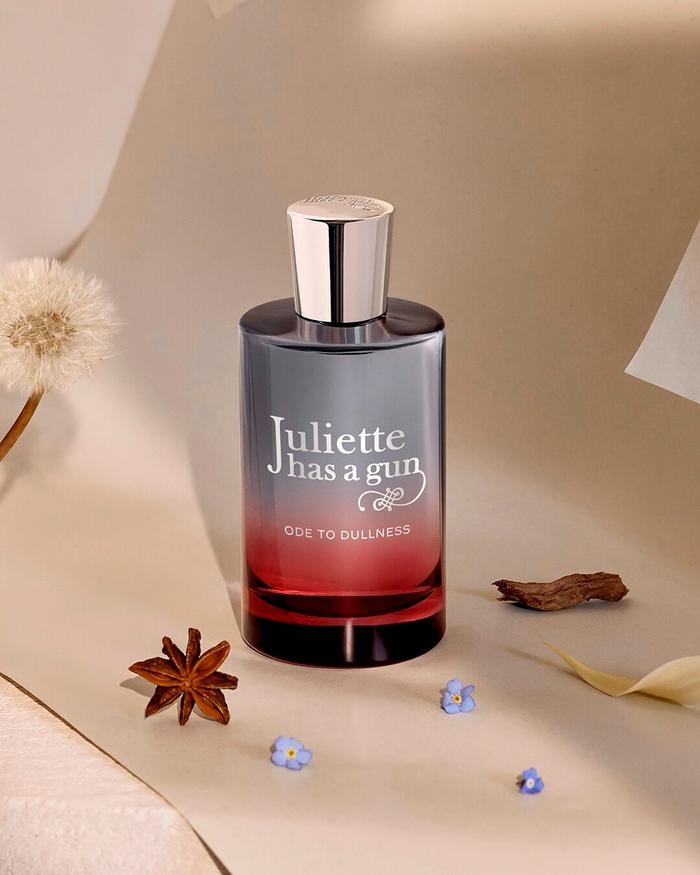 Chaleureux et introspectif <br> Juliette Has a Gun, Ode à la grisaille
