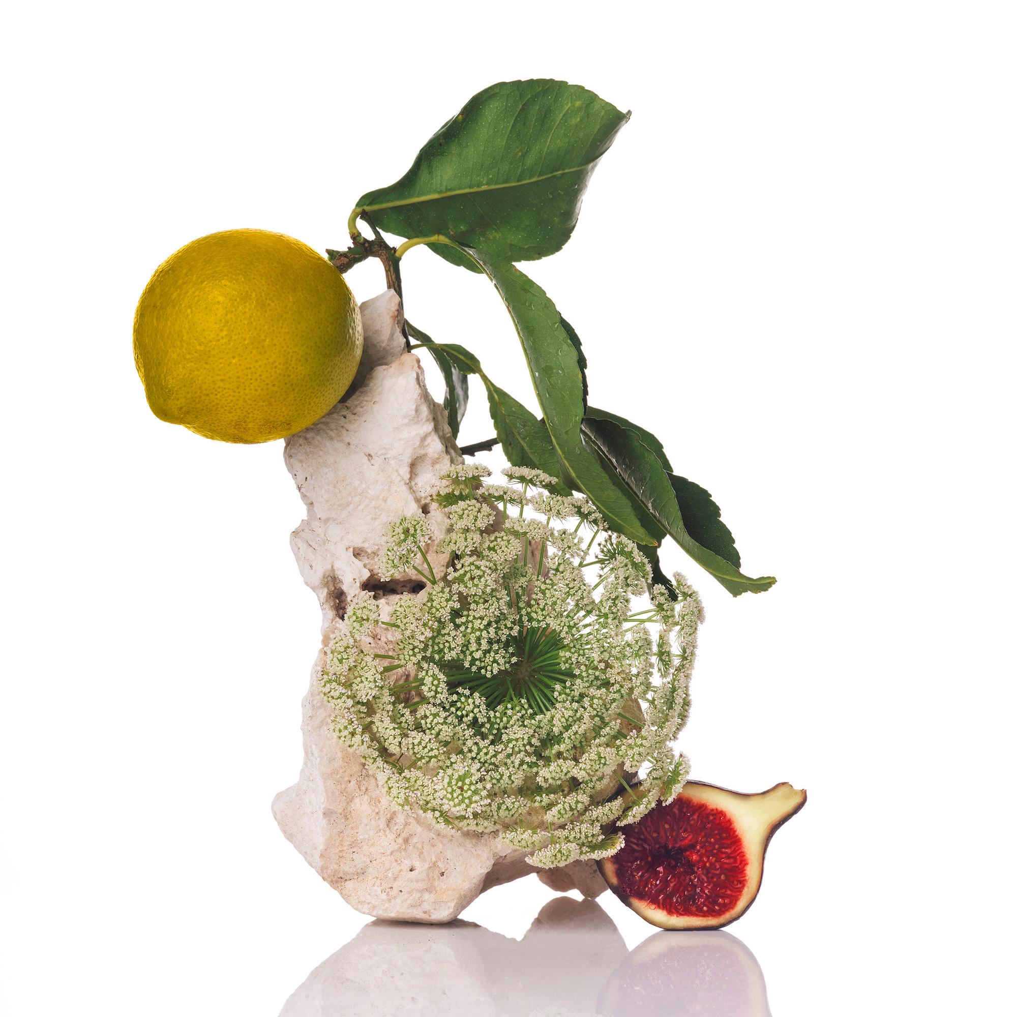 **Citrus Ingredients:** Are fresh and energetic such as bergamot, lemon, orange, neroli, verbena, citronella and lemon balm. <br><br>
 
**Green Ingredients:** Are dynamic and natural scented like blackcurrant bud, sap, bamboo or tea.<br><br>
 
**Aldehydic Ingredients:** They remind us of clean scent, cotton and soap.<br><br>
 
**Watery Ingredients:** evoke the scent of sea, rain, salt, air, even ozone.<br><br>
 
**Aromatic:** Ingredients Are energetic and sexy such as spruce, rosemary, lavender, thyme or eucalyptus.<br><br>
 
**Floral Ingredients:** Are essential for perfumery, rich and delicate like rose, gardenia, camelia, jasmine, narcissus or tuberose. <br><br>
 
**Fruity Ingredients: **Are mainly recreated since they cannot be naturally extracted. They can be sweet, juice, acid, velvety- Some examples are pear, apple, fig or apricot.<br><br>
 
**Spicy Ingredients: **Warm, refreshing and intense, such as cardamom, pepper, ginger, turmeric or clove. 