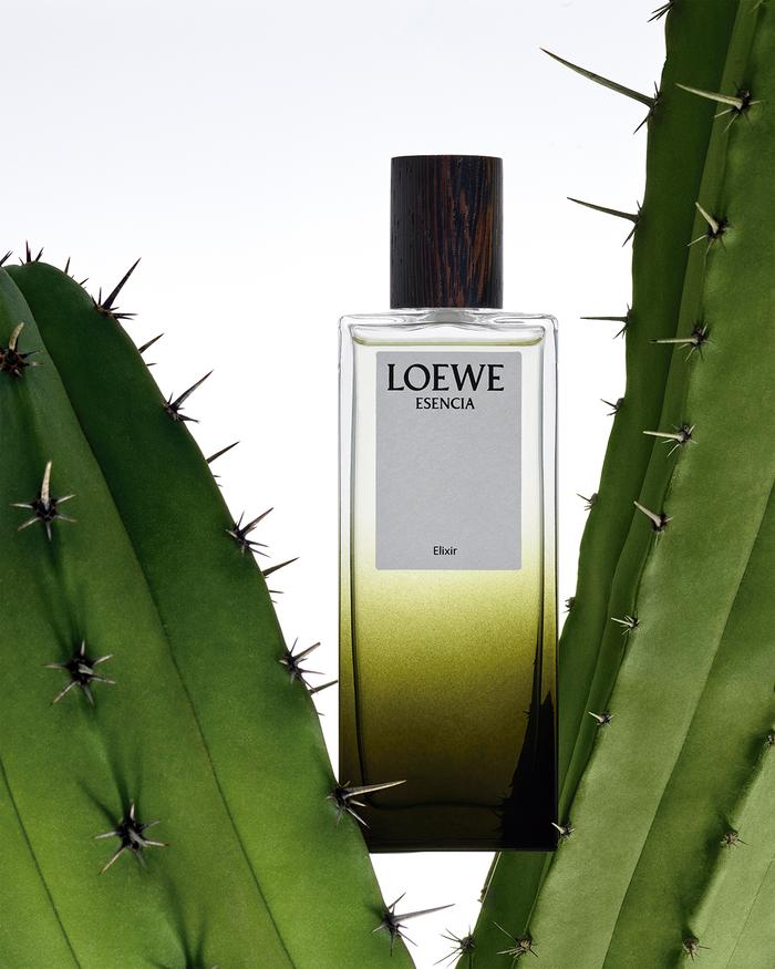Une intensité sans précédent <br>Loewe Essence Elixir