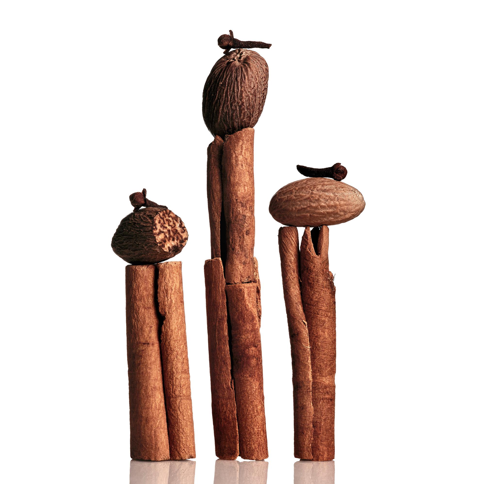 **Woody Ingredients: **Are elegant, sensual and warm like ambergris, oud, cedarwood and sandalwood. <br><br>
 
**Tobacco Ingredients:** Are ingredients used to give tobacco flavor, they are silky and rich such as tobacco leaves, ash and hay. <br><br>
 
**Gourmand Ingredients:** Directly linked to taste: sweet, acid or salty like cocoa, coffee, licorice, nut and caramel. <br><br>
 
**Amber Ingredients:** Are warm, voluptuous and captivating, the most important are ciste labdanum, amber, resin, tonka bean, incense or vanilla. <br><br>
 
**Leather Ingredients:** Are smoky, sensual and velvety like birch, saffron, leather, civet and smoke. <br><br>
 
**Musk Ingredients:** Are soft, reassuring and contribute to the perfume’s persistency such as musk and skin accord.