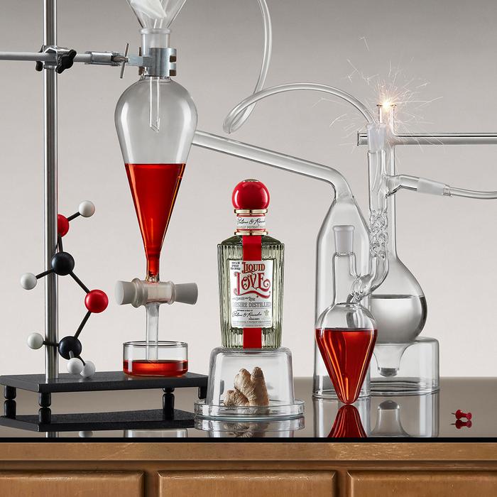 Der Valentinstag, ein wichtiges Datum im Kalender, um die Liebe zu feiern, veranlasst uns, uns die folgende Frage zu stellen: Können Parfums unsere Verbündeten in der Chemie der Liebe und Anziehung werden? 
